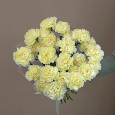 Желтые гвоздики букет