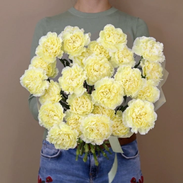 Желтые гвоздики букет