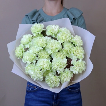 Зеленая гвоздика букет