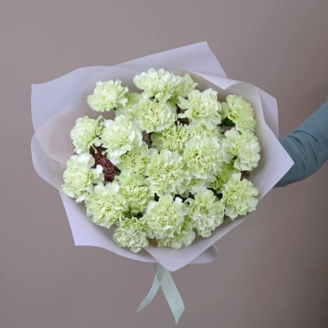 Зеленая гвоздика букет