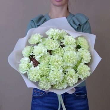 Зеленая гвоздика букет