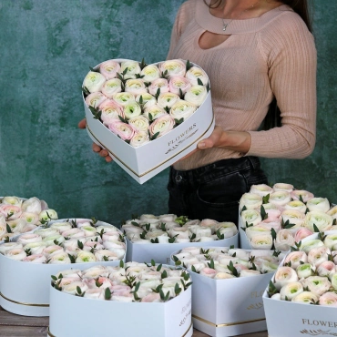 Сердце из нежно-розовых ранункулюсов