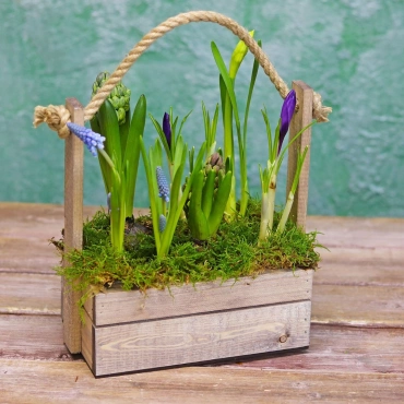 Весенняя композиция с луковичными