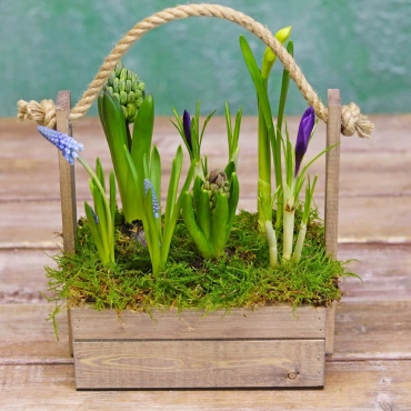 Весенняя композиция с луковичными