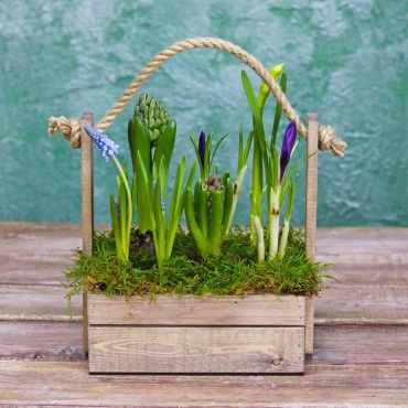 Весенняя композиция с луковичными
