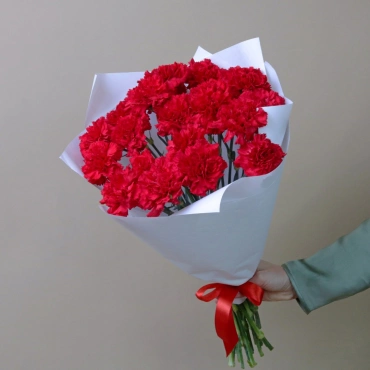 Букет красных гвоздик