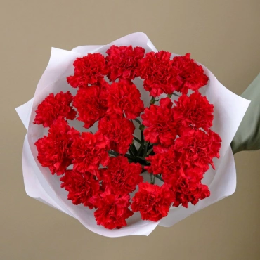 Букет красных гвоздик
