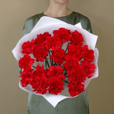 Букет красных гвоздик