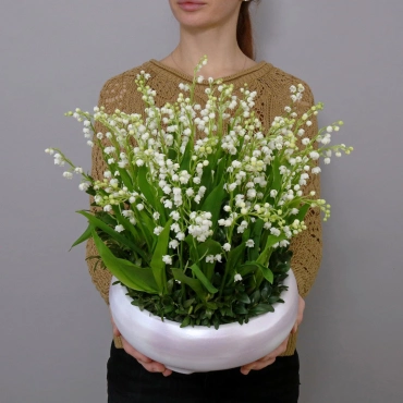 Композиция с ландышами в кашпо