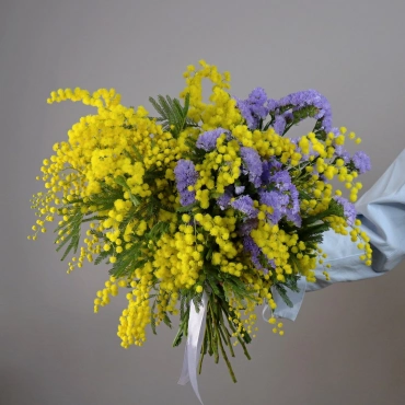 Букет мимоза со статицей