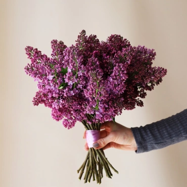 Букет невесты из сирени