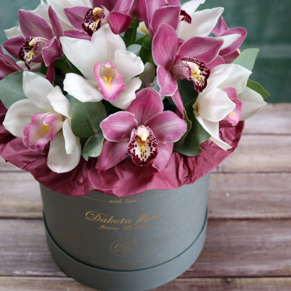 15 цветов орхидеи