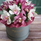 15 цветов орхидеи