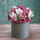 15 цветов орхидеи