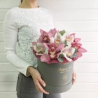 15 цветов орхидеи