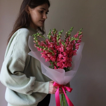 Антиринум букет