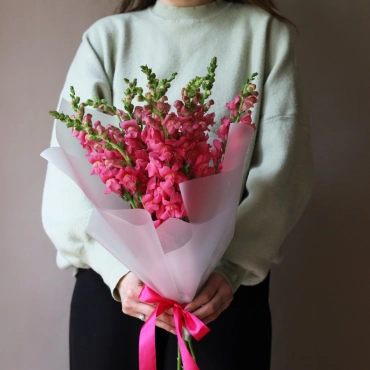 Антиринум букет