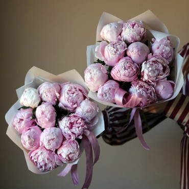 Букет из розовых пионов Сара бернар