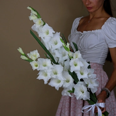 Белые гладиолусы