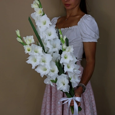 Белые гладиолусы