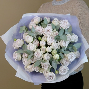 Роза Сильвер Баблс