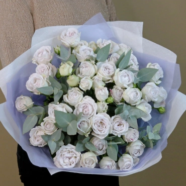 Роза Сильвер Баблс