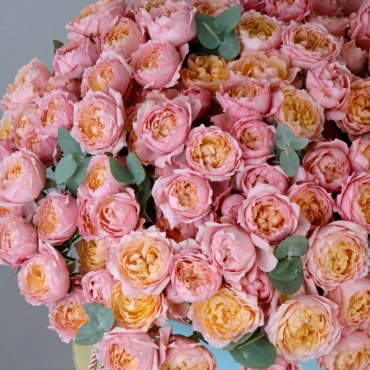 Кустовая роза Джульетта в коробке