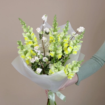 Букет из львиного зева "Дары лета"