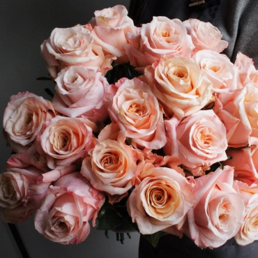 Роза Шиммер