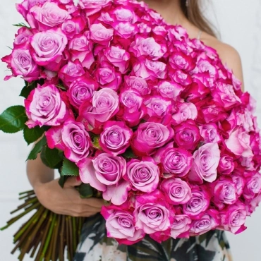 Роза Дип Перпл