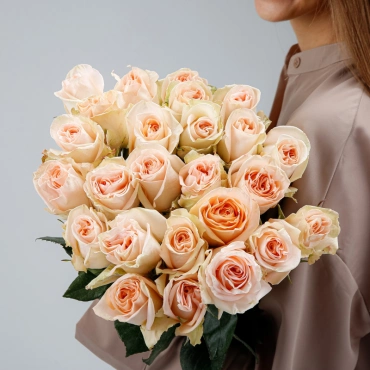 Роза Тиффани