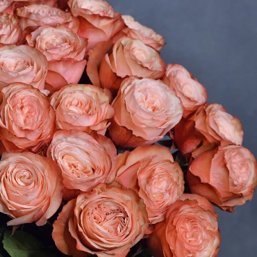 Роза Кахала