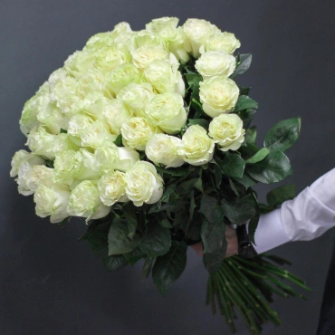 Роза Мондиал