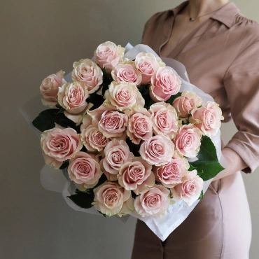 Роза Пинк Мондиал