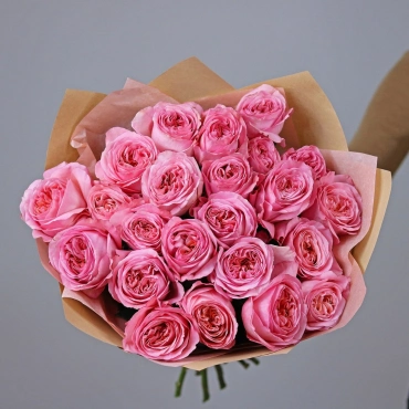 Роза Пинк Экспрешн