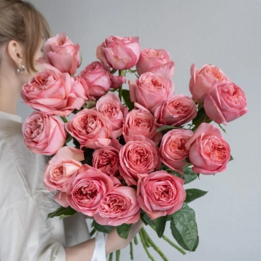 Роза Пинк Экспрешн