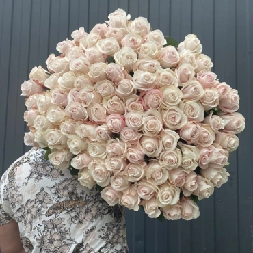 Роза Помароза