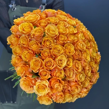 Роза Крем Карпедиам