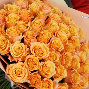 Роза Крем Карпедиам