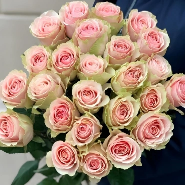 Роза Фрутетто