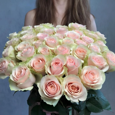 Роза Фрутетто