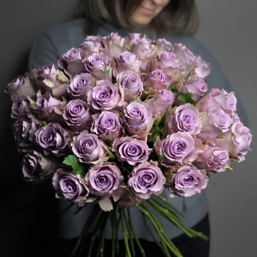 Роза Грей Кнайтс