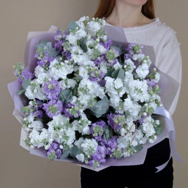 Букет из разноцветной маттиолы