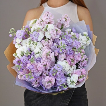 Букет из разноцветной маттиолы