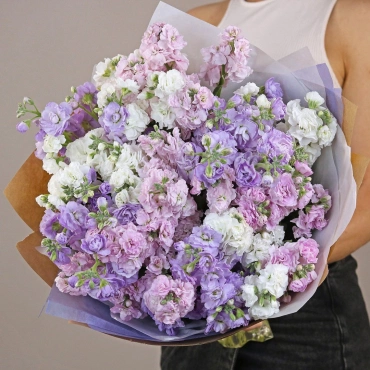 Букет из разноцветной маттиолы