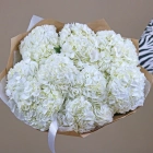 9 гортензий