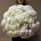 19 гортензий