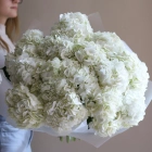 15 гортензий