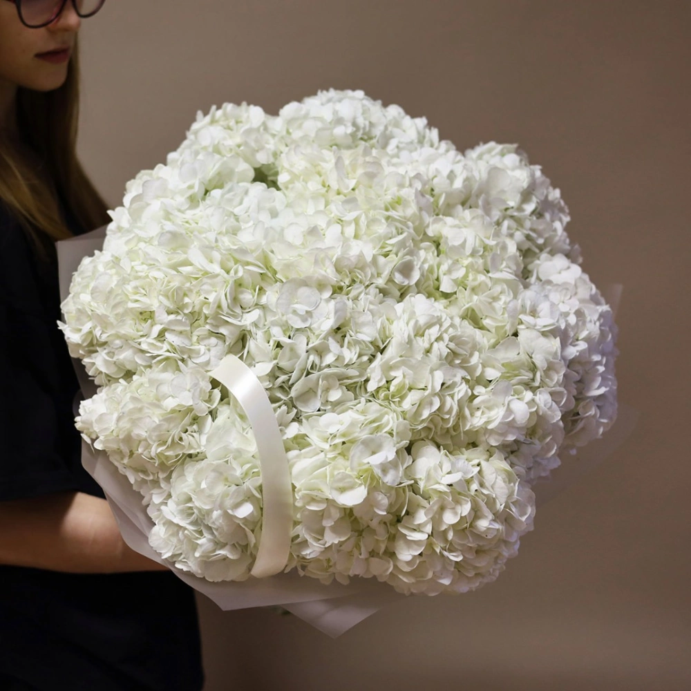 19 гортензий