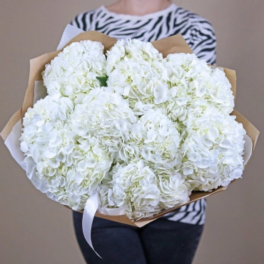 Букет крупной белой гортензии